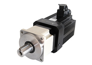 Planetary Geared Servo Motors